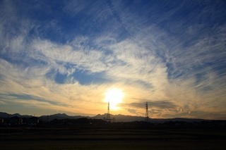 2020-0208-1・ブ.JPG