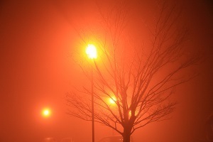 2020-0213-1・ブ.JPG