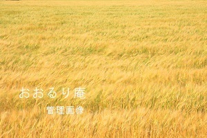 2020-0424-2・ブ.JPG
