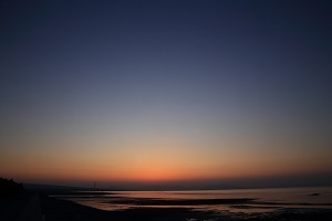 2020-0501-1・ブ.JPG