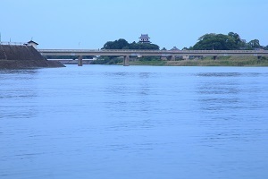 2020-0606-1・ブ.JPG